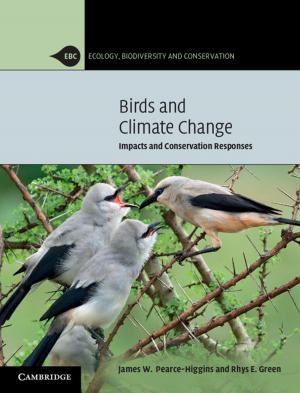 Book cover of Birds and Climate Change