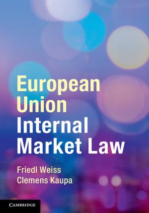 Cover of the book European Union Internal Market Law by Helle Porsdam