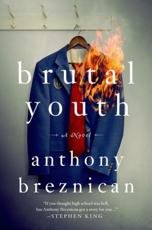 Cover of the book Brutal Youth by James Stephenson