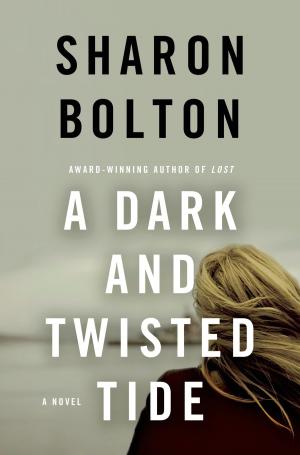 Book cover of A Dark and Twisted Tide