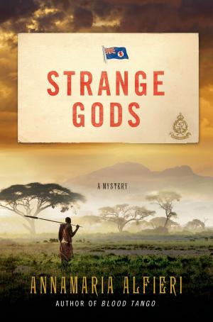 Cover of the book Strange Gods by Kate Forsyth
