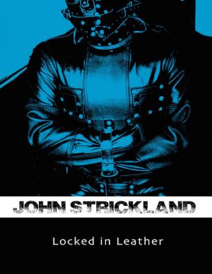Book cover of Locked In Leather