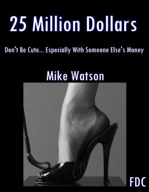 Cover of the book 25 Million Dollars - Don’t Be Cute… Especially With Someone Else’s Money by Endia Andras