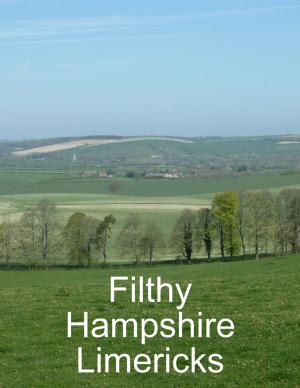 Cover of the book Filthy Hampshire Limericks by Elizabeth Vance