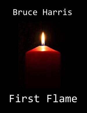 bigCover of the book First Flame by 