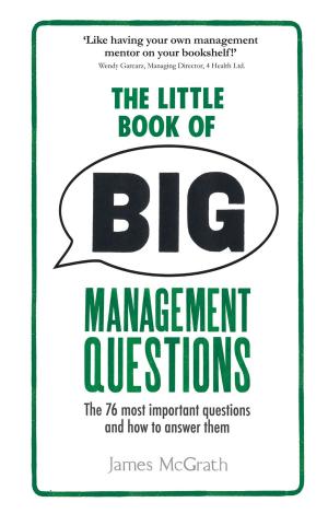 Cover of the book The Little Book of Big Management Questions by Mr Steve Roberts