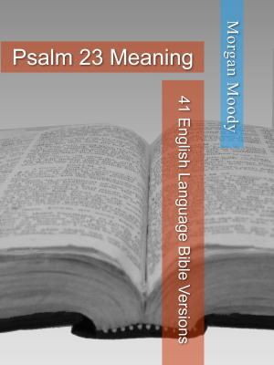 Cover of the book Psalm 23 Meaning: 41 English Language Bible Versions with Translation Notes by Paul Kragt