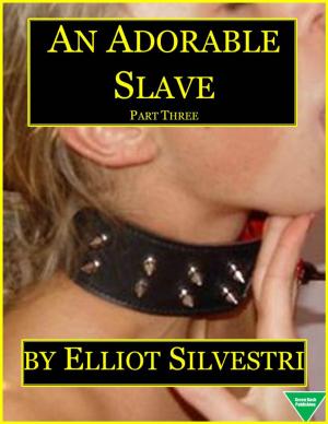 Cover of the book An Adorable Slave (Part Three) by Elliot Silvestri, Grace Vilmont