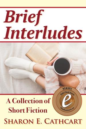 Book cover of Brief Interludes: A Collection of Short Fiction