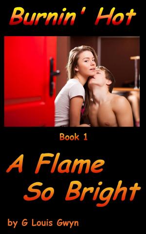 Book cover of Burnin' Hot: A Flame Too Bright
