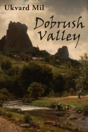 Cover of the book Dobrush Valley by Rachel McLean