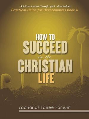 Book cover of How To Succeed In The Christian Life