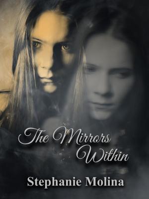 Cover of the book The Mirrors Within by Lisa N Paul