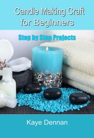 Book cover of Candle Making Craft for Beginners
