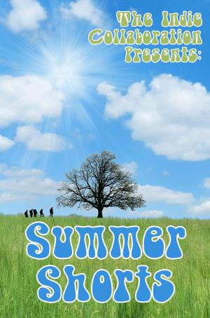 Book cover of Summer Shorts