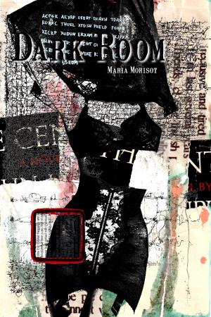 Cover of the book Dark Room by Daniel Ferguson