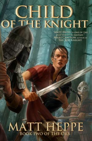 Cover of the book Child of the Knight by Amanda Mondoux
