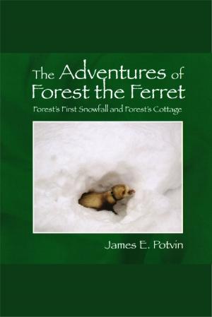 Cover of the book The Adventures of Forest the Ferret by Amy Lee Kite