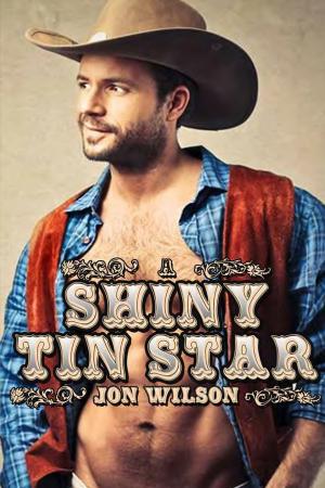 Cover of the book A Shiny Tin Star by Melissa Scott