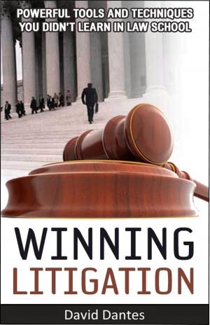 Cover of Winning Litigation