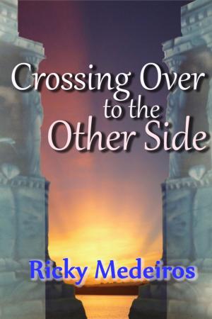 Cover of the book Crossing Over To The Other Side by Natalie Nolan
