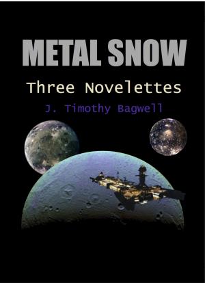 Cover of the book Metal Snow by Robert Tabb
