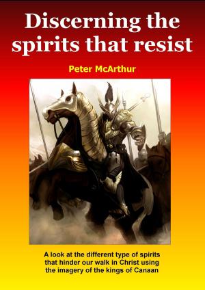 Cover of Discerning the Spirits that Resist