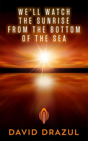 Cover of the book We'll Watch the Sunrise from the Bottom of the Sea by C.B. Calsing