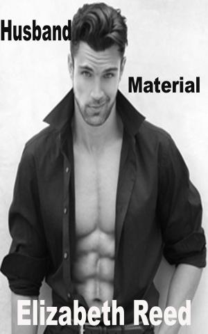 Cover of the book Husband Material by Vanessa  E. Silver