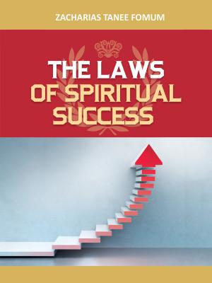 bigCover of the book The Laws of Spiritual Success (Volume One) by 
