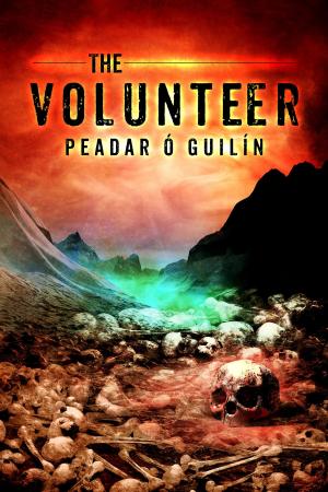 Cover of the book The Volunteer by Jennifer Estep