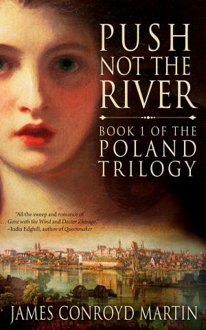 Cover of Push Not the River (The Poland Trilogy, Book 1)