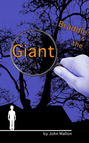 Book cover of Braddle and the Giant