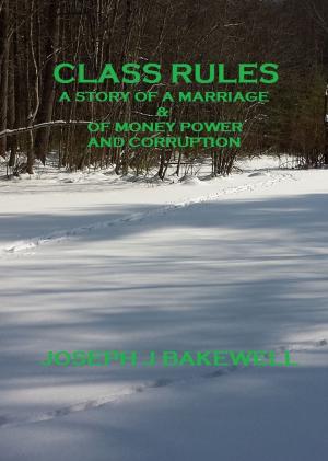 Cover of the book Class Rules by Ron Bonini