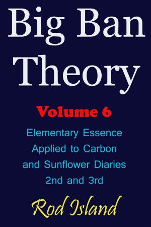 Book cover of Big Ban Theory: Elementary Essence Applied to Carbon and Sunflower Diaries 2nd and 3rd, Volume 6