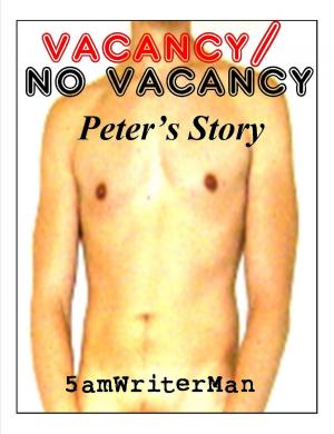 Book cover of Vacancy / No Vacancy: Peter's Story