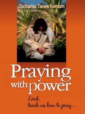 Book cover of Praying With Power