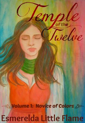 Cover of the book Temple of the Twelve (Volume 1: Novice of Colors) by Kim Ravensmith