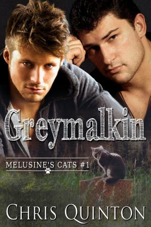 Book cover of Greymalkin