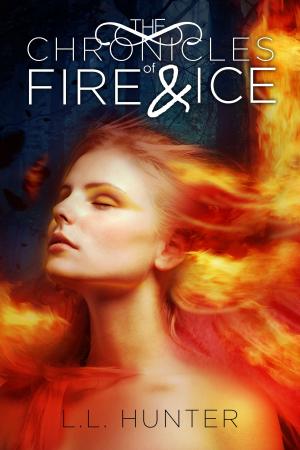 Cover of the book The Chronicles of Fire and Ice by Sylvain St-Pierre