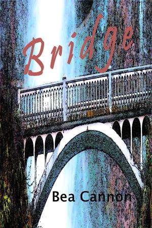 Cover of the book Bridge by Gillian Rhodes