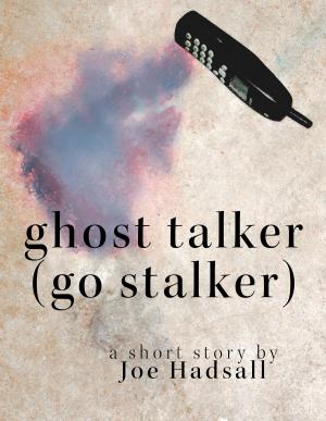 Cover of the book Ghost Talker (Go Stalker) by A.J. Sendall