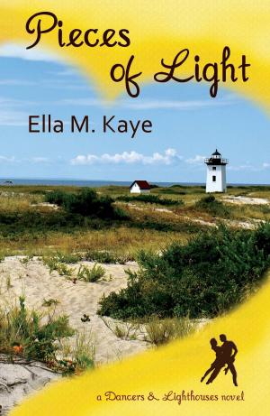 Book cover of Pieces of Light