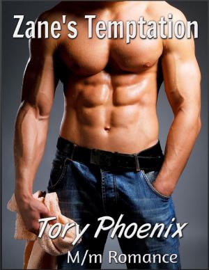 Cover of the book Zane’s Temptation by Carrie Elks