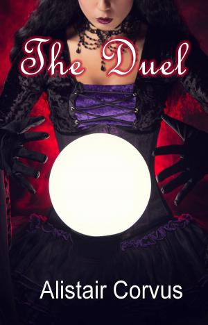 Cover of the book The Duel by Kimball Lee