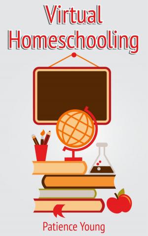 Cover of the book Virtual Homeschooling by J.A. Kundert