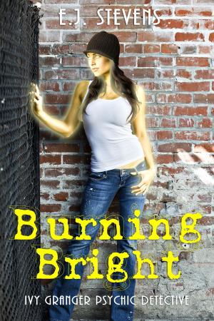 Cover of the book Burning Bright by E.J. Stevens