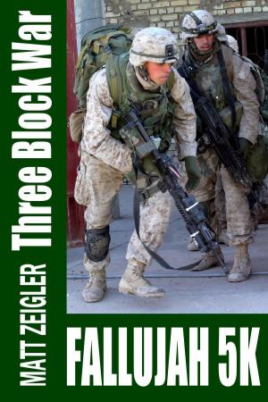 Book cover of Three Block War: Fallujah 5K