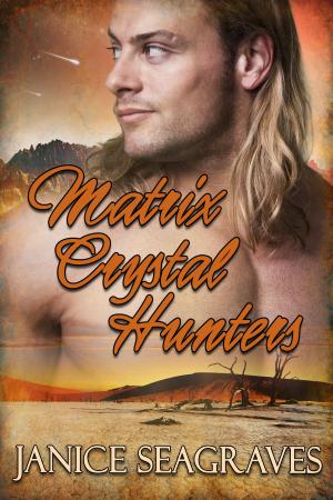 Cover of the book Matrix Crystal Hunters by Rebecca Gomez Farrell