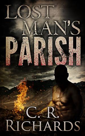 Cover of the book Lost Man's Parish by Tanja Milaja